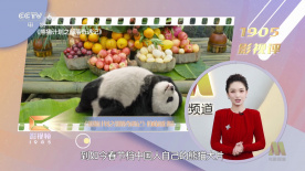 绿巨人污在线观看